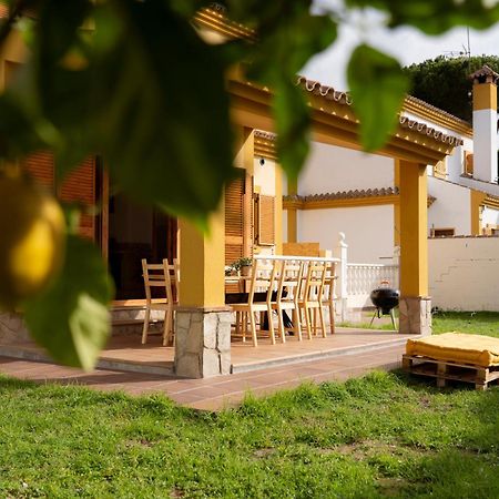 Namawa Surfhouse Vandrehjem Chiclana de la Frontera Eksteriør billede